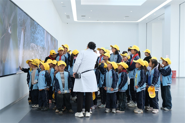 1741745938959792.jpg 圖片8.jpg